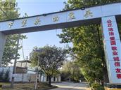 下堡头村 