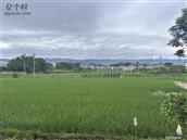 民心社区 