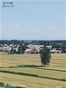 砖厂村 