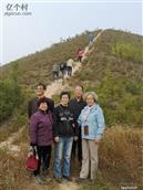 陕西省,咸阳市,秦都区,双照街道,小寨村
