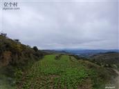 甘肃省,天水市,秦州区,杨家寺乡,白家沟村