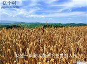 河北省,石家庄市,赞皇县,赞皇镇,北沟村