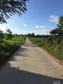 湖北省,天门市,拖市镇,双河村