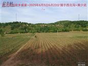 辽宁省,朝阳市,龙城区,半拉山街道,半拉山村