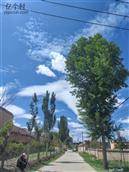 甘肃省,定西市,安定区,内官镇,边家村