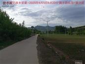辽宁省,朝阳市,龙城区,半拉山街道,半拉山村