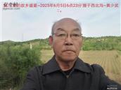 辽宁省,朝阳市,龙城区,半拉山街道,半拉山村