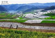 甘肃省,天水市,清水县,陇东乡,朱河村