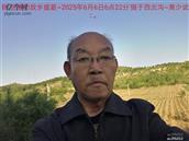 辽宁省,朝阳市,龙城区,半拉山街道,半拉山村