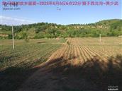 辽宁省,朝阳市,龙城区,半拉山街道,半拉山村