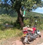 云南省,楚雄州,大姚县,赵家店乡,打苴基村