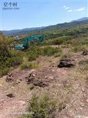 云南省,楚雄州,大姚县,赵家店乡,打苴基村