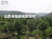 山西省,吕梁市,临县,城庄镇,程家塔村