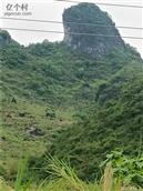 广西,南宁市,马山县,永州镇,龙角村