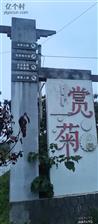 湖北省,黄冈市,麻城市,黄土岗镇,张家墩村