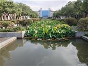 浙江省,丽水市,莲都区,峰源乡,横坑村