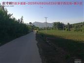 辽宁省,朝阳市,龙城区,半拉山街道,半拉山村