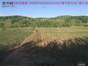 辽宁省,朝阳市,龙城区,半拉山街道,半拉山村