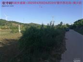 辽宁省,朝阳市,龙城区,半拉山街道,半拉山村