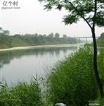 慕郑村      这是慕郑村的清峪河，很漂亮。当年我浇地夜里在此河中洗澡时，幻想从黑水桥下的小桥洞钻过去，因此差一点点就被淹死!…  为此朱支书还打过我!…   