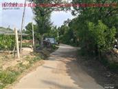 辽宁省,朝阳市,龙城区,半拉山街道,半拉山村