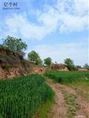 陕西省,咸阳市,彬州市,韩家镇,元朝村