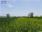 陕西省,咸阳市,彬州市,韩家镇,元朝村