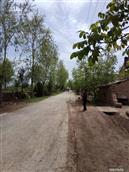 陕西省,咸阳市,彬州市,韩家镇,元朝村