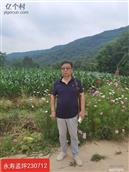 陕西省,咸阳市,永寿县,永太镇,孟坪村