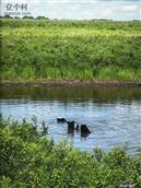 内蒙古,兴安盟,科尔沁右翼前旗,阿力得尔苏木乡,复兴村