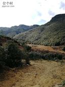 云南省,曲靖市,马龙区,月望乡,月望社区