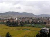 云南省,曲靖市,马龙区,月望乡,月望社区