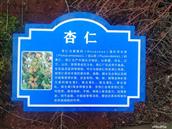 青山村 