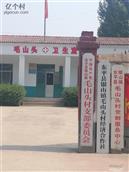 山东省,泰安市,东平县,银山镇,毛山头村
