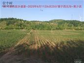 辽宁省,朝阳市,龙城区,半拉山街道,半拉山村