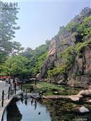 山东省,德州市,夏津县,苏留庄镇,尤王庄村