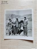 陕西省,延安市,宝塔区,河庄坪镇,井家湾村