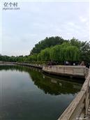 山东省,德州市,夏津县,苏留庄镇,尤王庄村