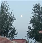 河北省,廊坊市,安次区,调河头乡,洛驼庄三村