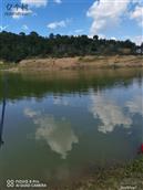 云南省,曲靖市,马龙区,月望乡,月望社区