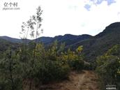 云南省,曲靖市,马龙区,月望乡,月望社区