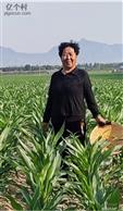 山西省,大同市,云州区,党留庄乡,党留庄村
