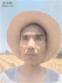 陕西省,咸阳市,泾阳县,中张镇,东鸟村