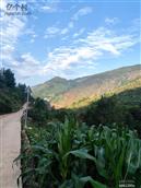 云南省,曲靖市,宣威市,田坝镇,红岩村