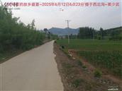 辽宁省,朝阳市,龙城区,半拉山街道,半拉山村