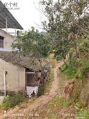 四川省,遂宁市,射洪市,金华镇,石桥村