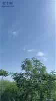 河北省,邯郸市,永年区,永合会镇,大油村