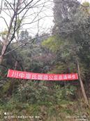 四川省,遂宁市,射洪市,金华镇,石桥村