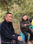 四川省,遂宁市,射洪市,金华镇,石桥村