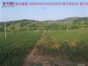 辽宁省,朝阳市,龙城区,半拉山街道,半拉山村